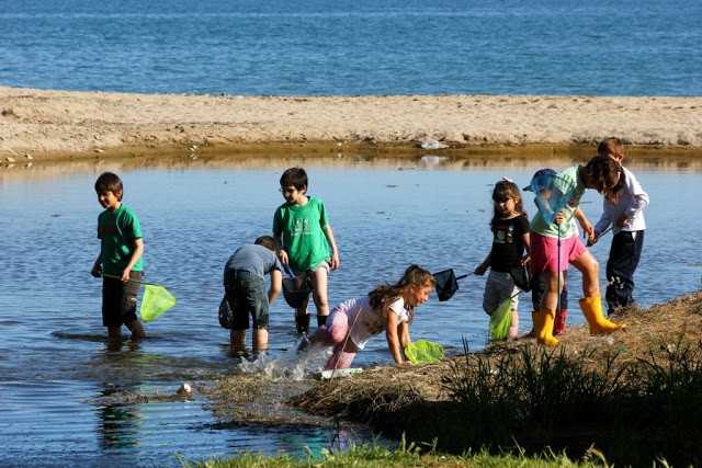 Oberta la inscripció a l'Escola de Naturalistes del GEPEC