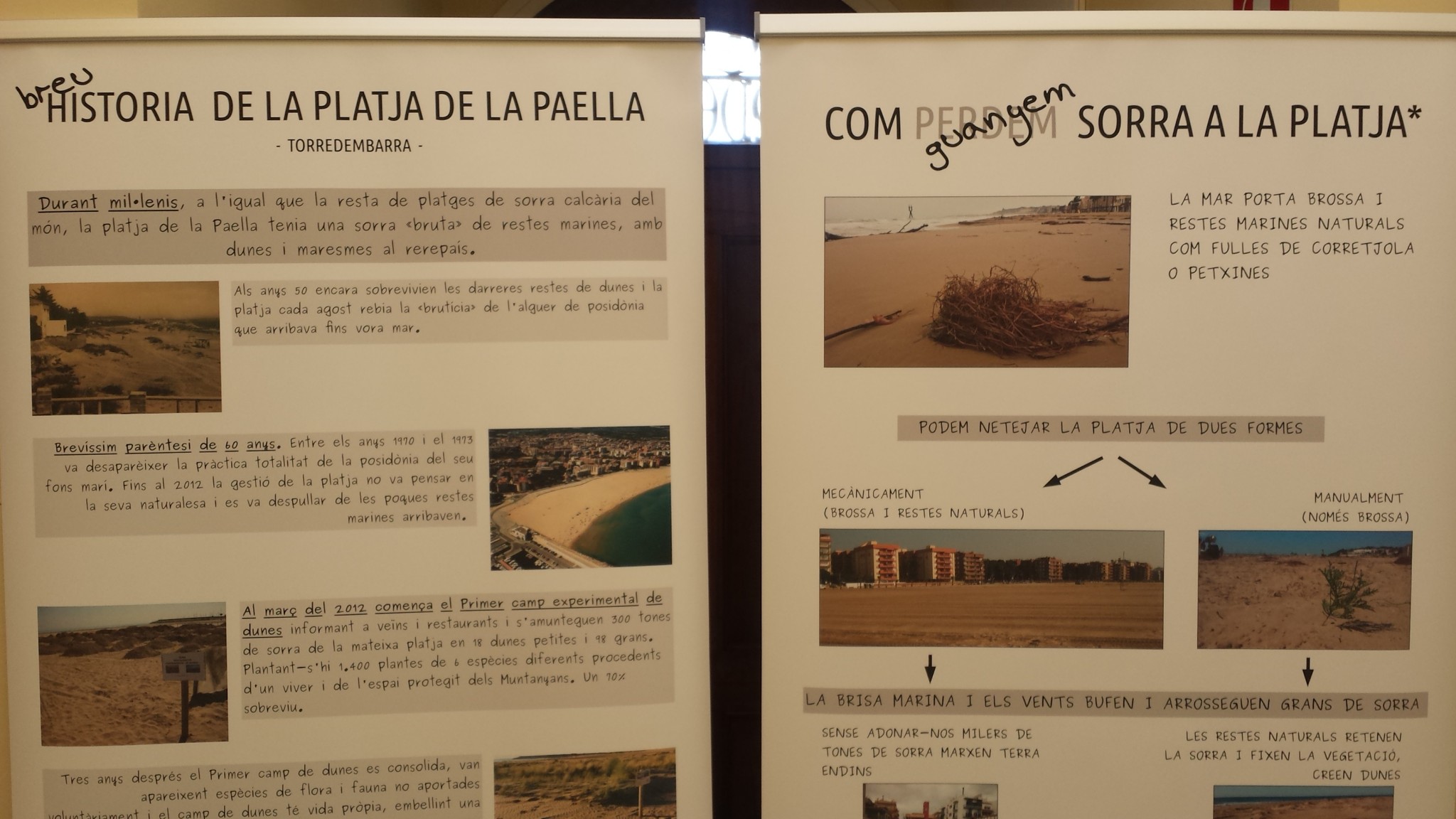 Exposició camps de dunes experimentals a Torredembarra