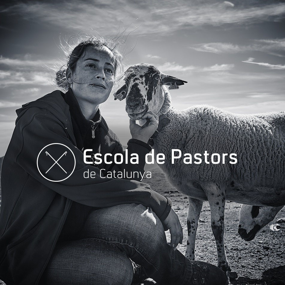 Dijous 17 a Reus: Presentació de l'Escola de Pastors de Catalunya