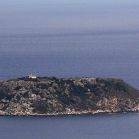 Reclamem disminuir la pressió sobre les Illes Medes