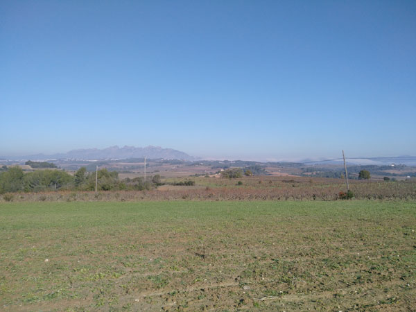 El Grup Ametller vol construir un Agroparc de 121 hectàrees en sòl no urbanitzable a Gelida i a Sant Llorenç d’Hortons