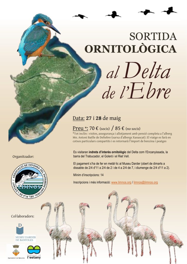 Sortida ornitològica al Delta de l’Ebre