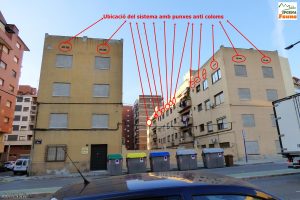 Pinxos anti-coloms letals a edificis de Lleida