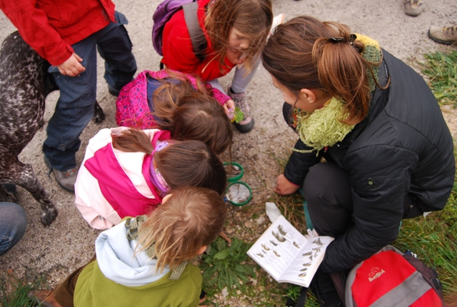 Busquem persones voluntàries per les escoles naturalistes del GEPEC