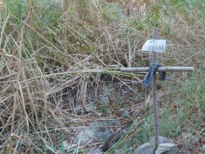 Un nou episodi de contaminació d'aigua a Torroja del Priorat