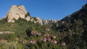 Passejada geològica per Montserrat