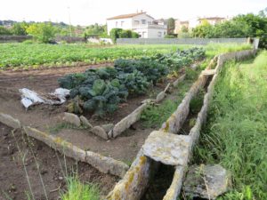 Article sobre els horts de Banyoles a la Revista Catalana d’Etnologia