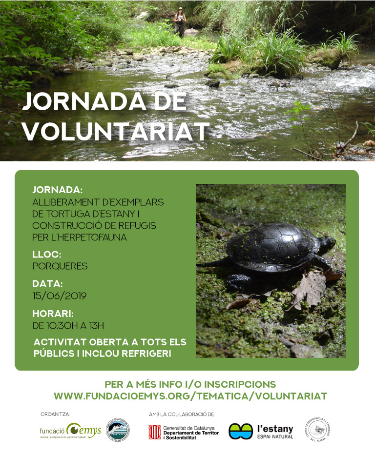 15 de juny – Alliberament de tortuga d’estany i construcció de refugis per l’herpetofauna