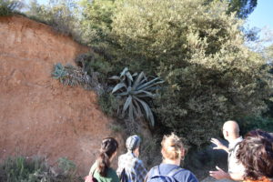 Un capvespre al Parc Grípia-Ribatallada