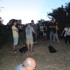 QuiroRius i nit de ratpenats a Abrera amb l’associació ANDA
