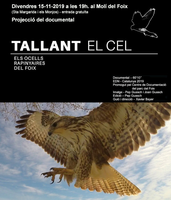 Docunental Tallant el cel