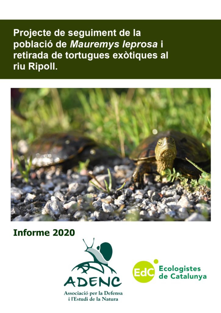 El Grup d’Estudi i Conservació de les Tortugues de l’ADENC (GECTA) presenta els resultats del 2020