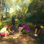 Nou taller de determinació de l’estat ecològic al riu Ripoll