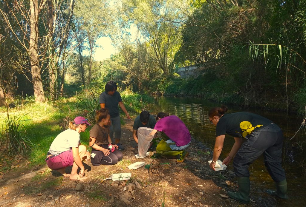 Nou taller de determinació de l’estat ecològic al riu Ripoll