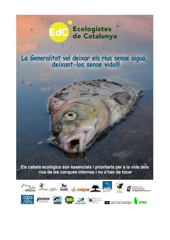 COMUNICAT DE PREMSA: La Generalitat vol deixar els rius sense aigua, Deixant-los sense vida!!!