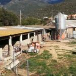 Sanció de 5.001 euros a la granja del Noguers per funcionament irregular