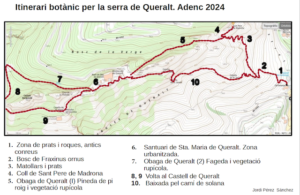 SERRA DE QUERALT – ITINERARI BOTÀNIC (Berga)