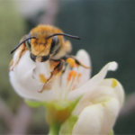 Inauguració i lliurament de premis del concurs de fotografia de la natura 2024