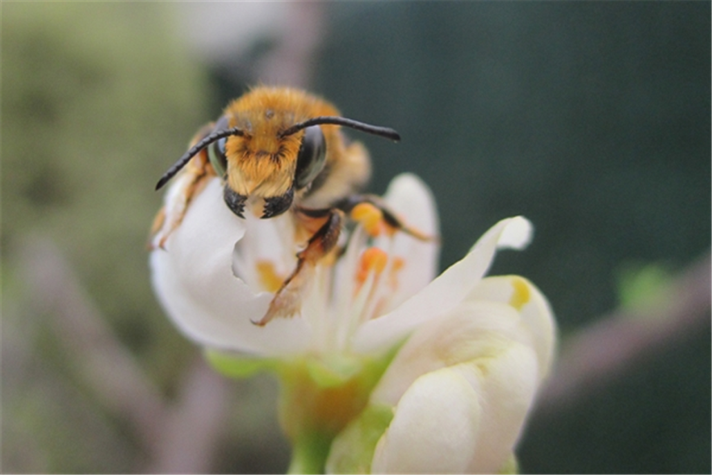 Inauguració i lliurament de premis del concurs de fotografia de la natura 2024