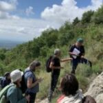 SERRA DE QUERALT – ITINERARI BOTÀNIC (Berga)