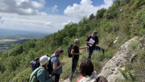 SERRA DE QUERALT – ITINERARI BOTÀNIC (Berga)