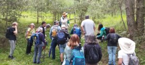 VALL DE RIBES – ITINERARI BOTÀNIC (Ribes de Fresser, Ripollès, Girona, CAT)