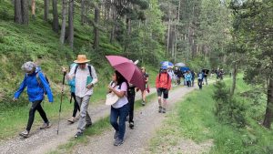 VALL DE RIBES – ITINERARI BOTÀNIC (Ribes de Fresser, Ripollès, Girona, CAT)