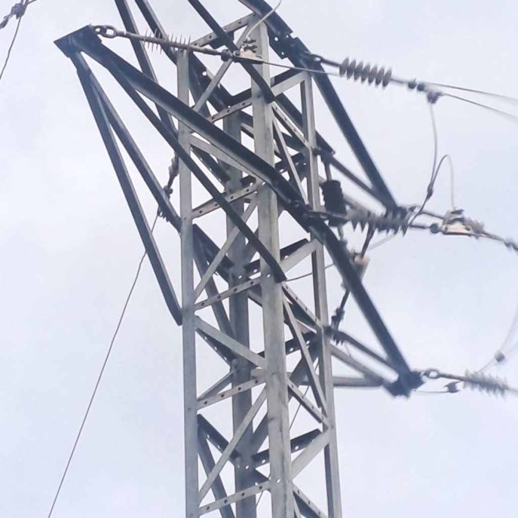 Més de 70 cigonyes mortes per electrocució a les comarques gironines