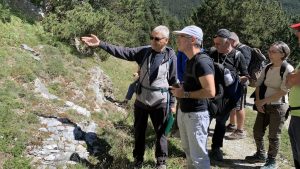 PLA DE L’EROLA/COLLETS – ITINERARI BOTÀNIC (Ribes de Freser, Ripollès, Girona, CAT)