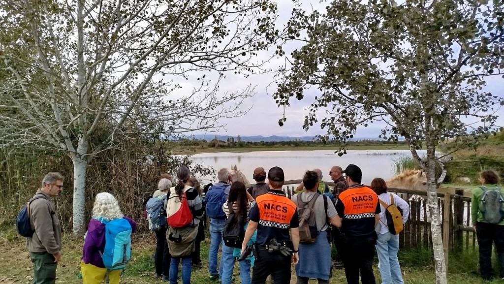 Els Valors ambientals del delta del llobregat